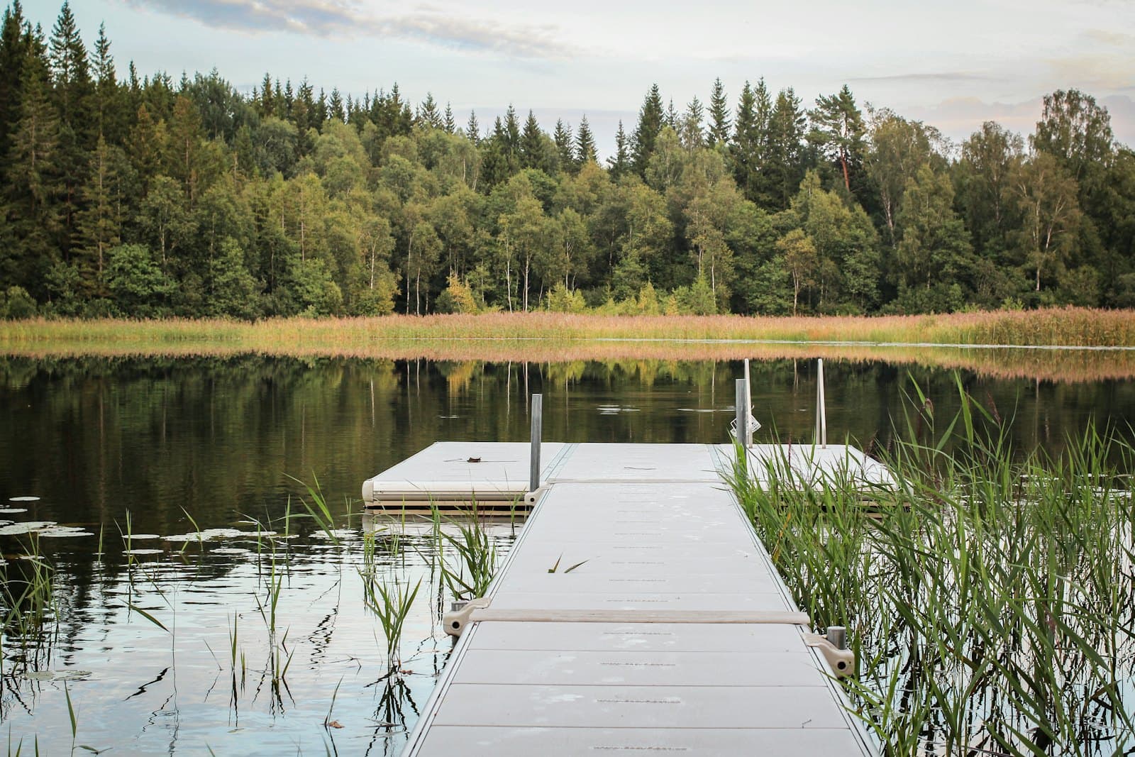 A wooden dock on a calm Swedish forest lake
